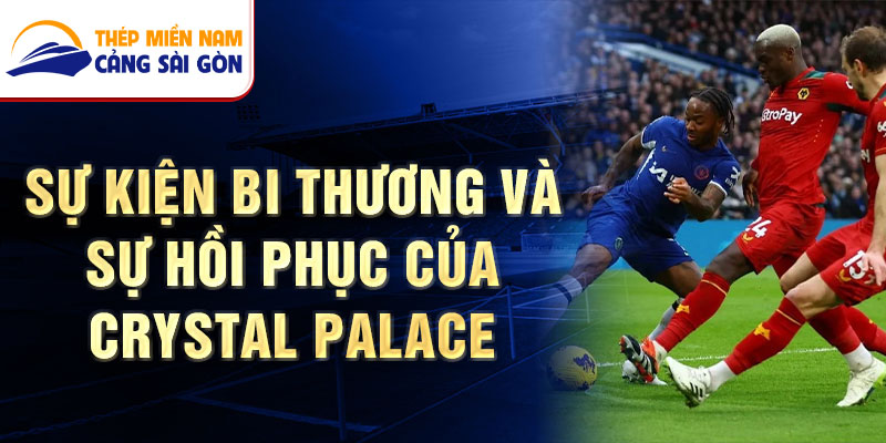 Sự kiện bi thương và sự hồi phục của Crystal Palace