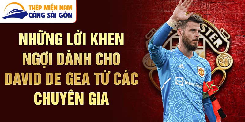 Những lời khen ngợi dành cho David de Gea từ các chuyên gia