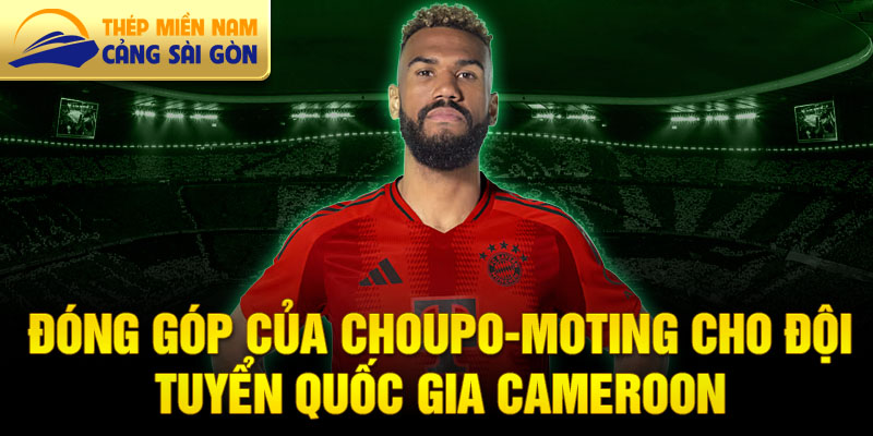 Đóng góp của Choupo-Moting cho đội tuyển quốc gia Cameroon