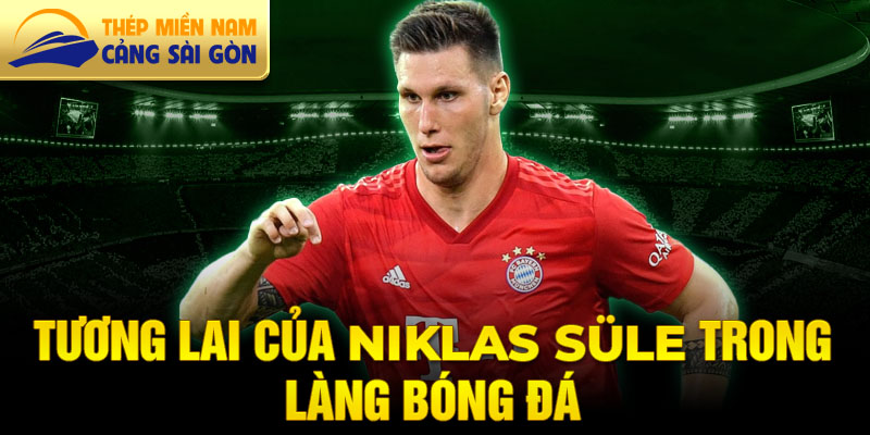 Tương lai của Niklas Süle trong làng bóng đá